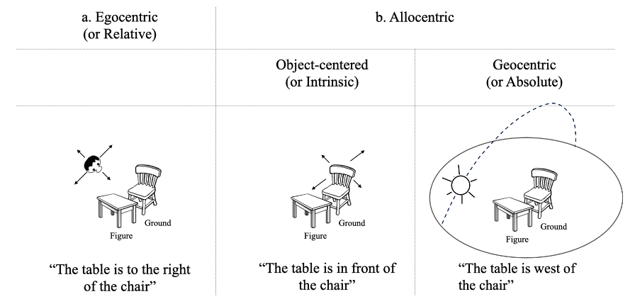 Cognition tweet media