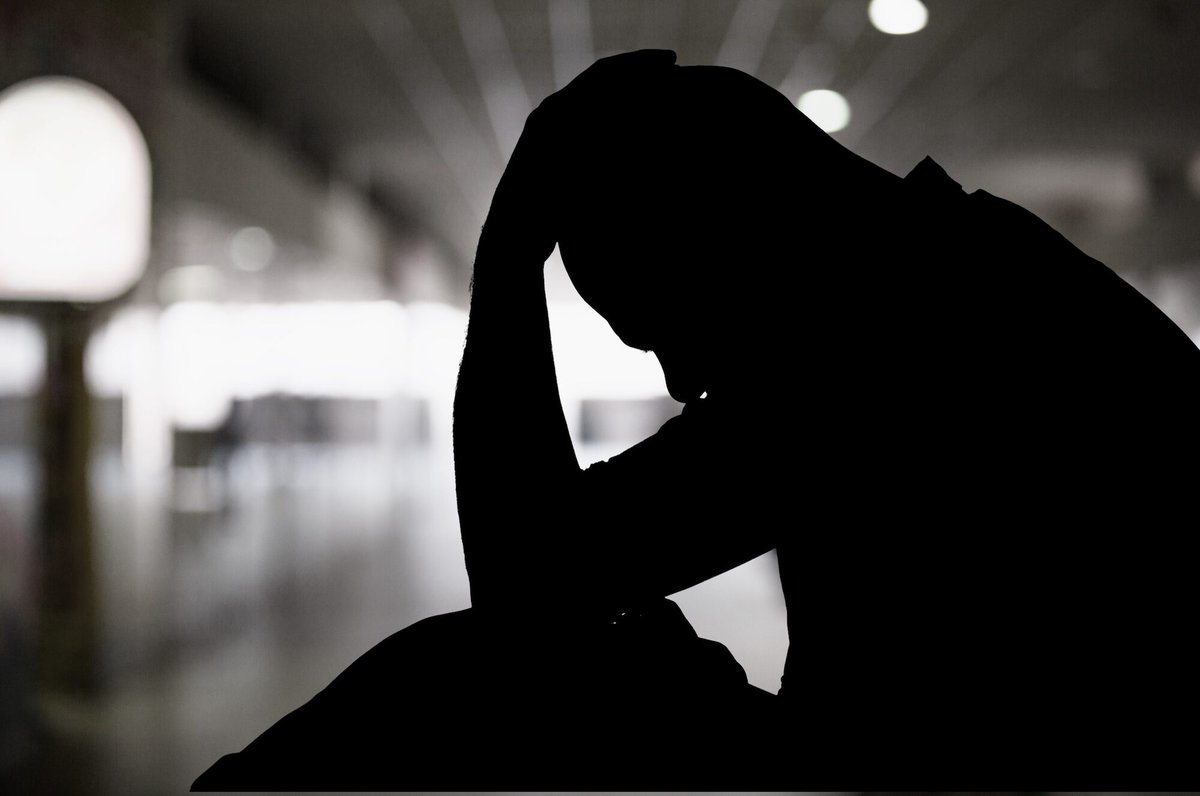 U. Michigan español tweet media