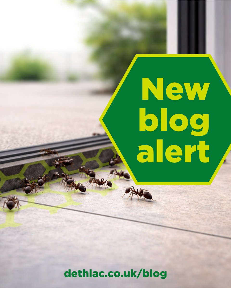 DETHLAC1's tweet image. 🐜 Tired of chasing ants?

Discover set‑and‑forget ant control with long-lasting protection from Dethlac.

👉 dethlac.co.uk/blog/set-and-f…

#AntControl #HomeCare #PestControl
