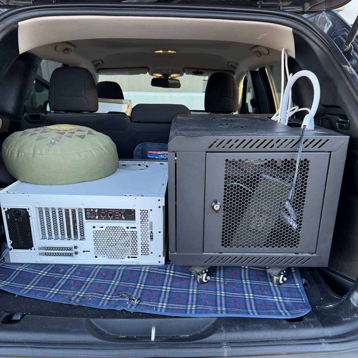 Plumpa | ꜰᴏꜱᴛᴇʀ 🎪 tweet media