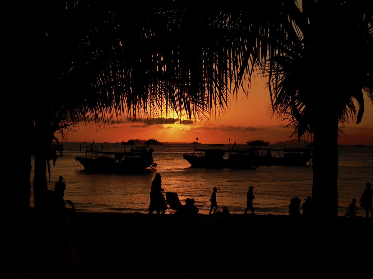 Owen Govett tweet media