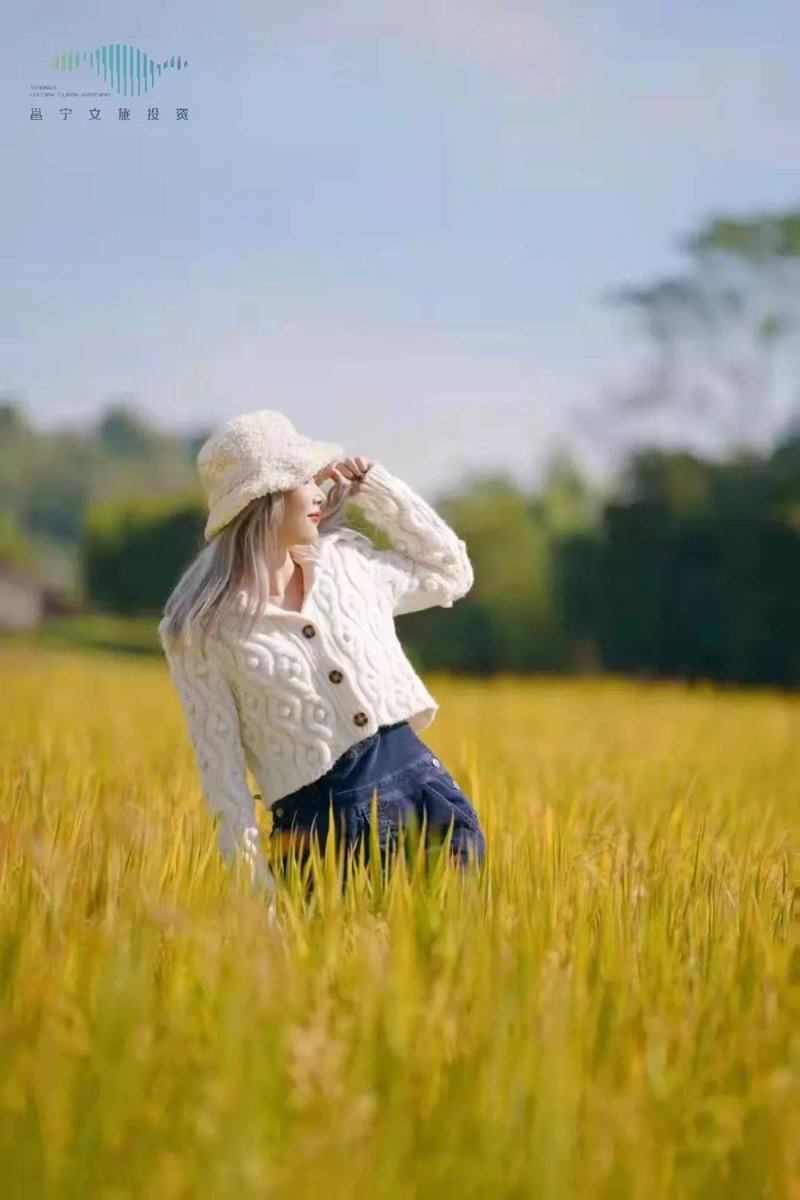 Shannon Jackson tweet media