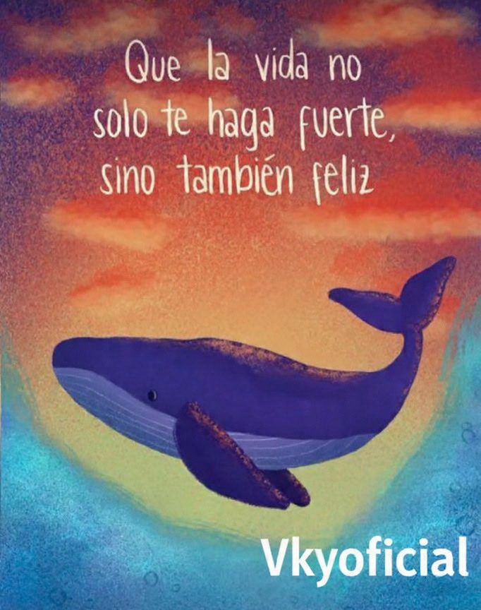 Vkyoficial tweet media