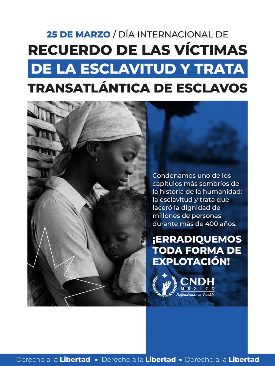 CNDH en México tweet media