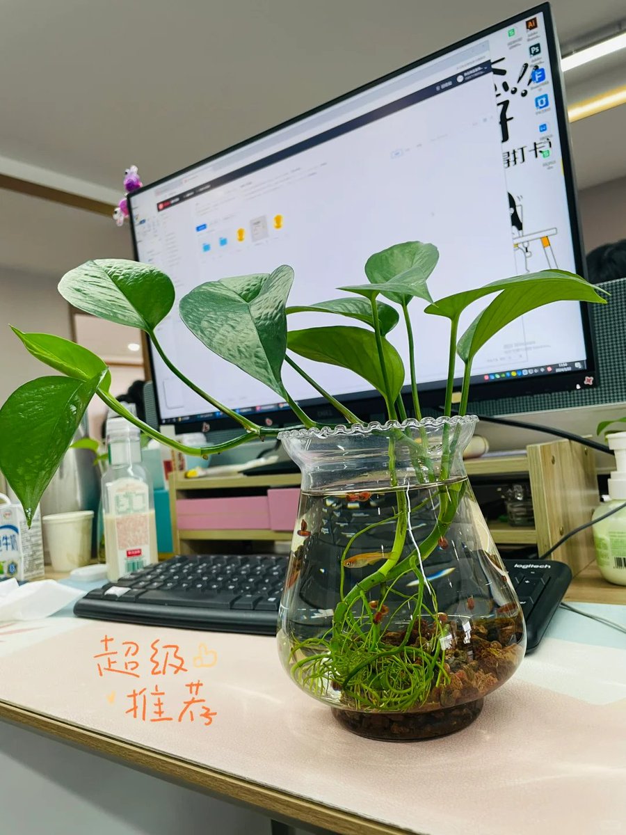 Kannan V tweet media