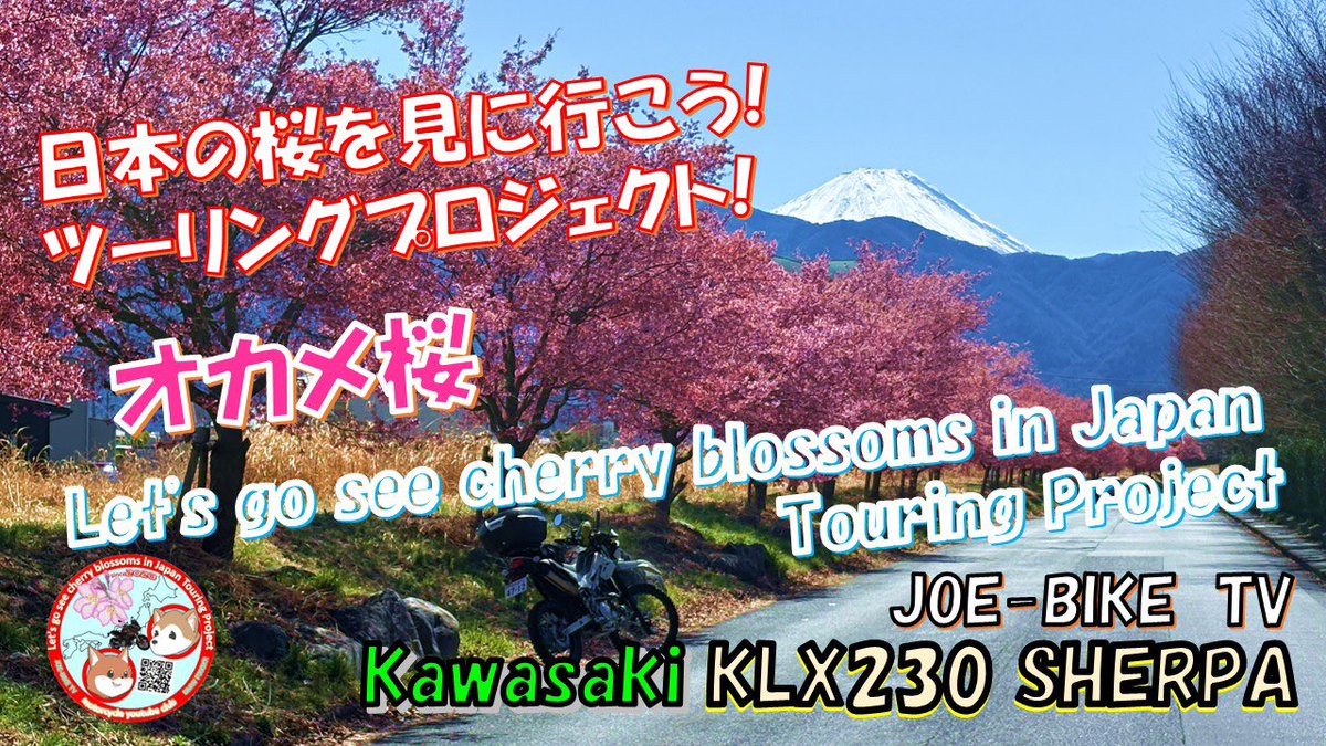 JOE_bikeTV's tweet photo. 春が来ましたね🌸
染井吉野の開花を目前にちょっと早い桜🌸の便りです😊
富士山🗻と八ヶ岳⛰️と桜🌸のコラボポイント❗️
https://t.co/GN9Z2cU3sb https://t.co/F3s3FL85BH