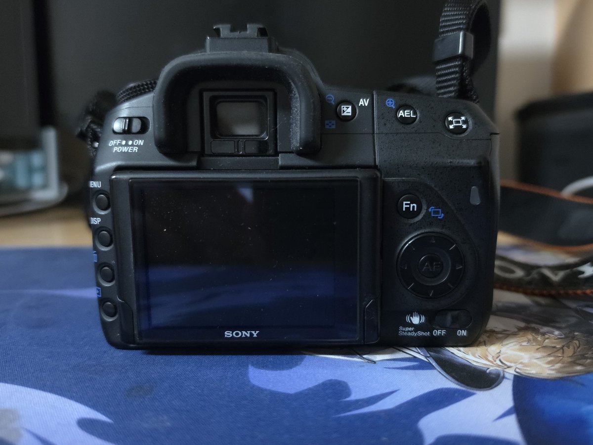 CASTLEDOOR tweet media