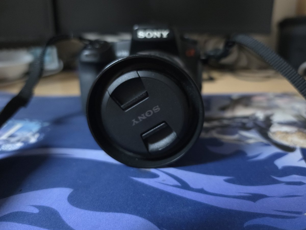 CASTLEDOOR tweet media