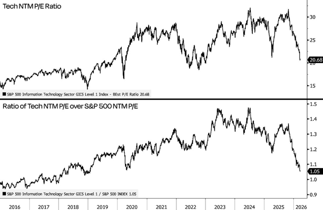 THE SHORT BEAR tweet media