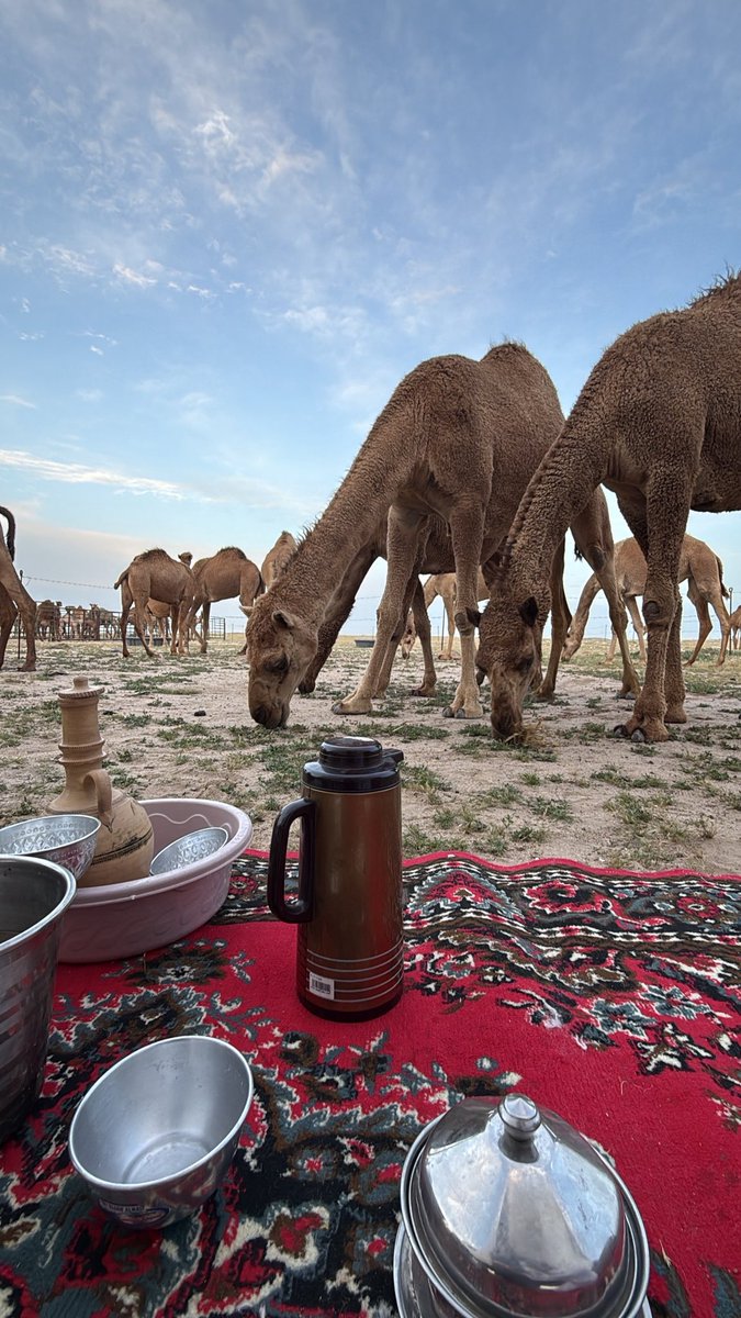 ‏ نِزَار بس مش قباني tweet media