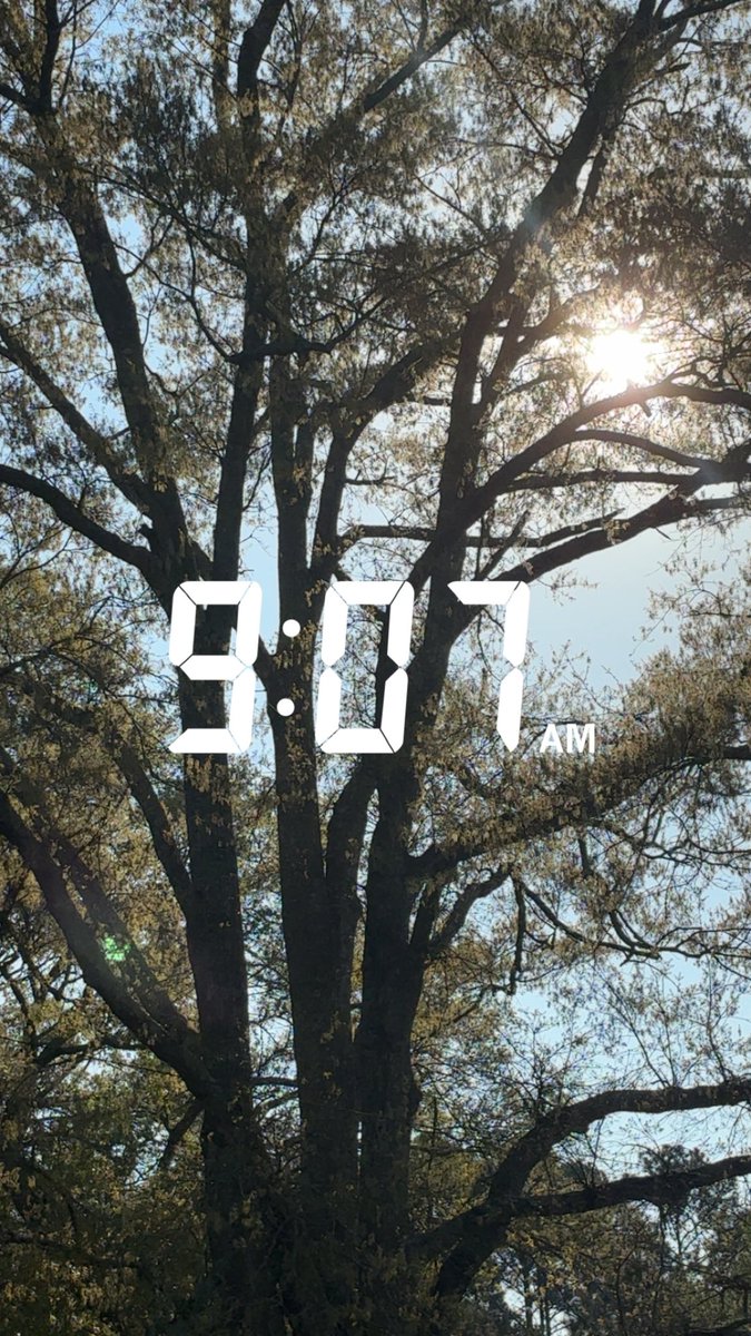 Diane Johnson Stroud tweet media