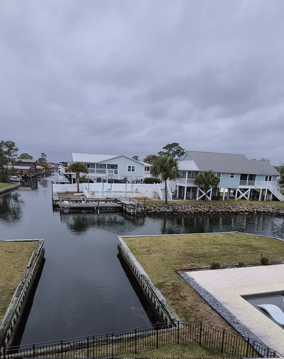 Dragonlady tweet media