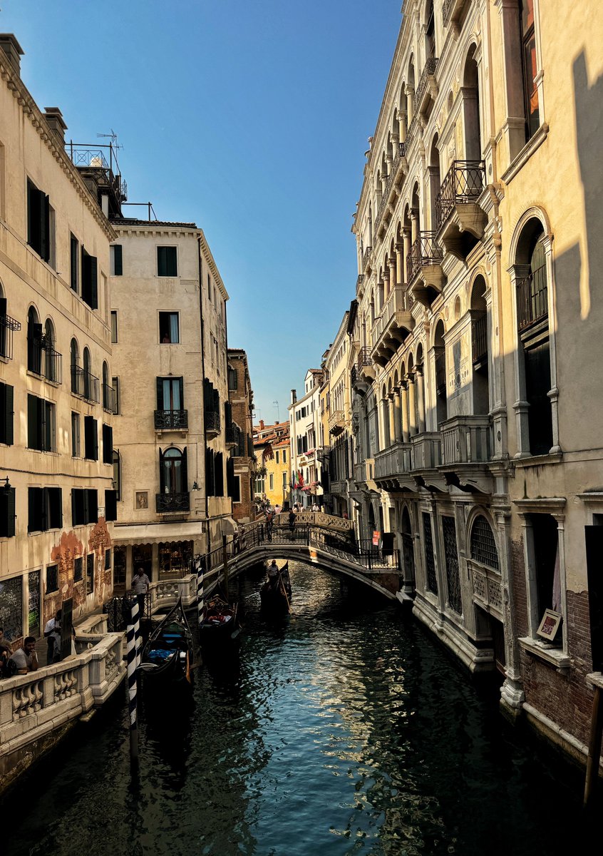 Glimpses of Culture 🏛️ tweet media