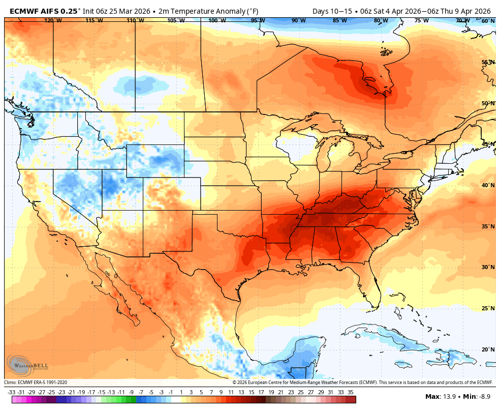 The American Storm tweet media