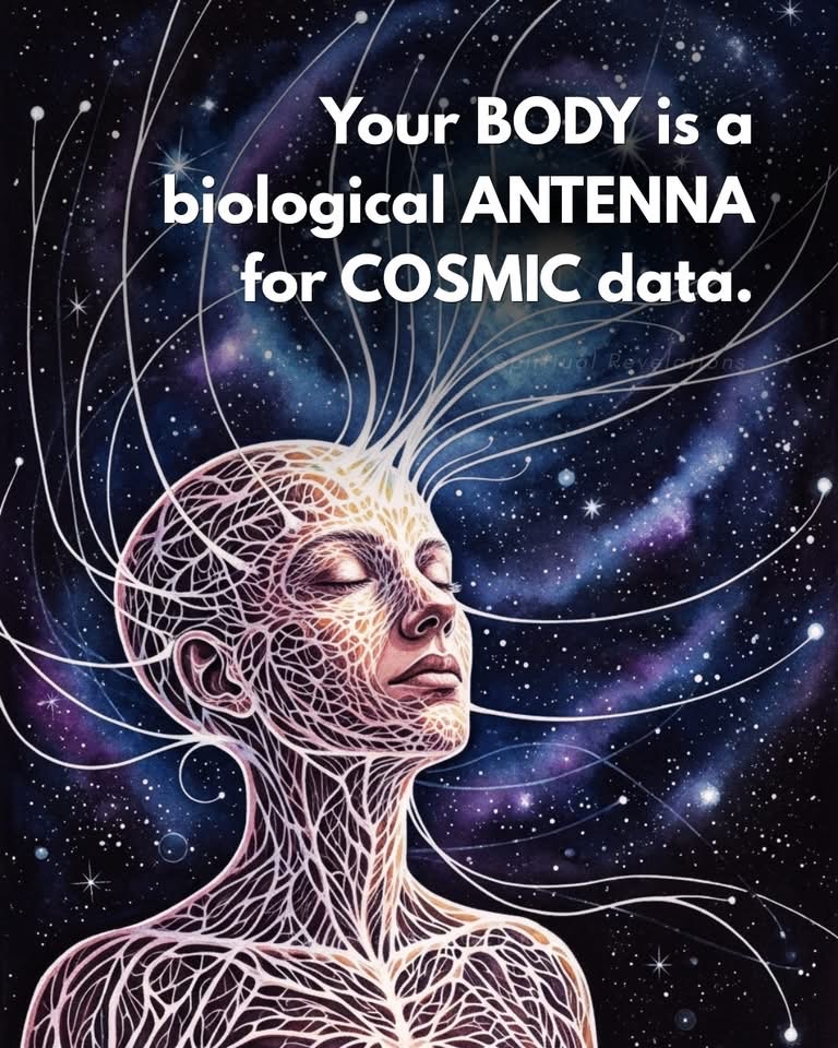 🧬Maxpein🧬 tweet media