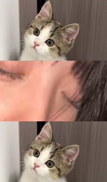 Mumei无名 tweet media