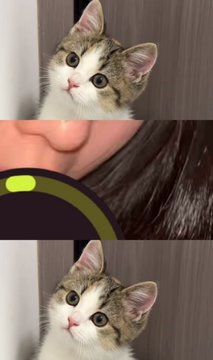 Mumei无名 tweet media