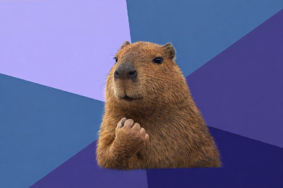 Capybara tweet media
