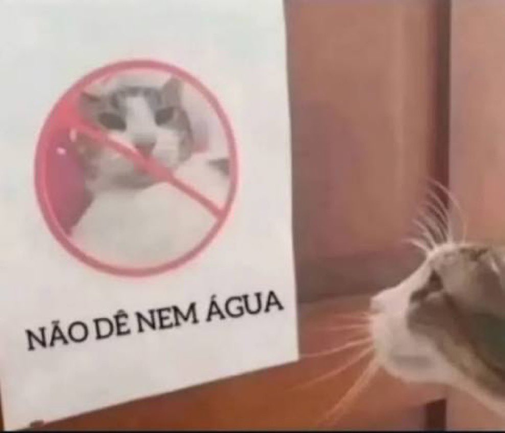 barbie ྀི tweet media