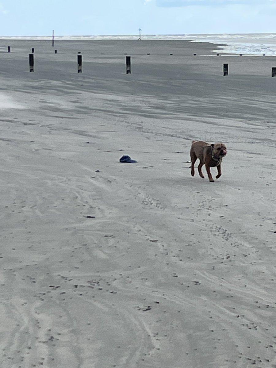 @BruffBT 🇺🇦 tweet media