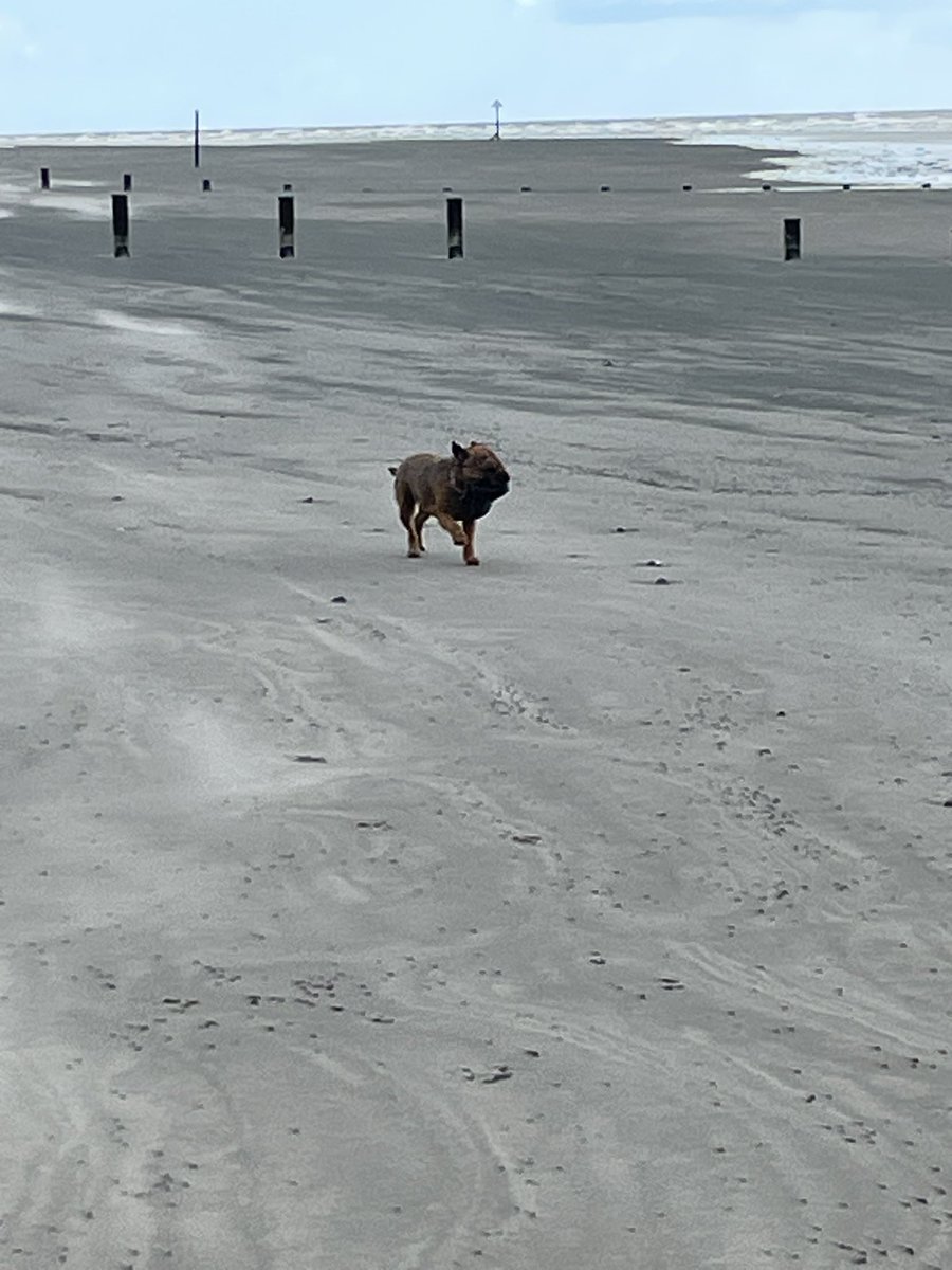 @BruffBT 🇺🇦 tweet media