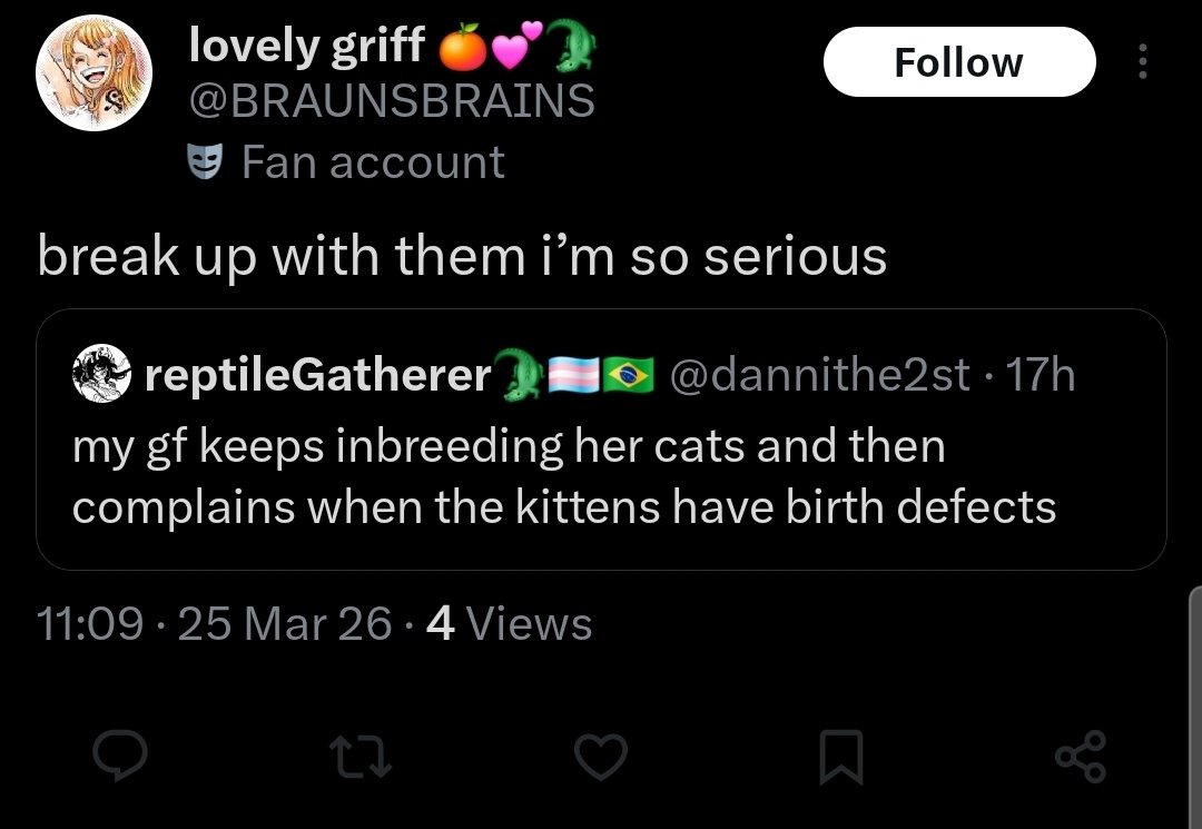 reptileGatherer🐊🏳️⚧️🇧🇷 tweet media