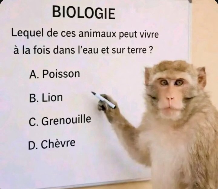 Jacob Shukuru tweet media