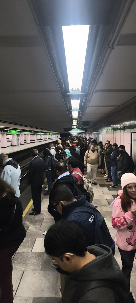 Betty Chino 🚲 tweet media