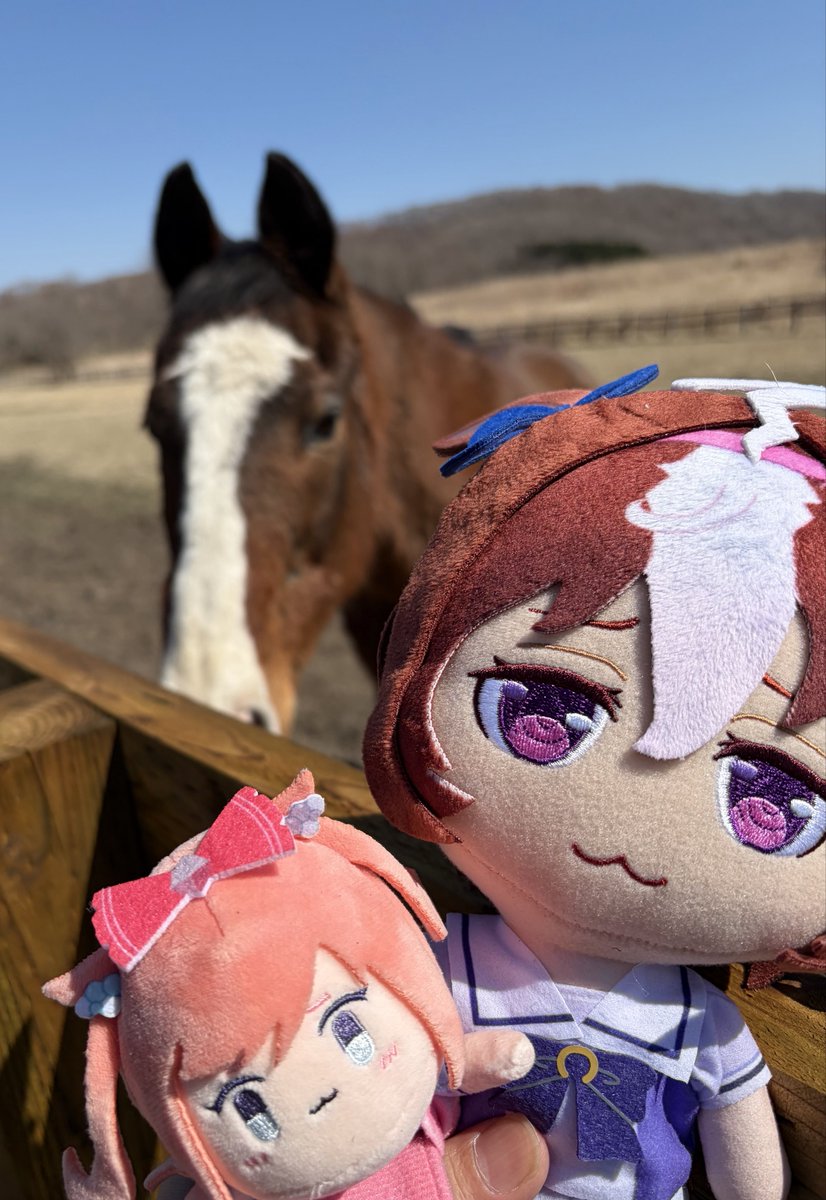 がるるが tweet media