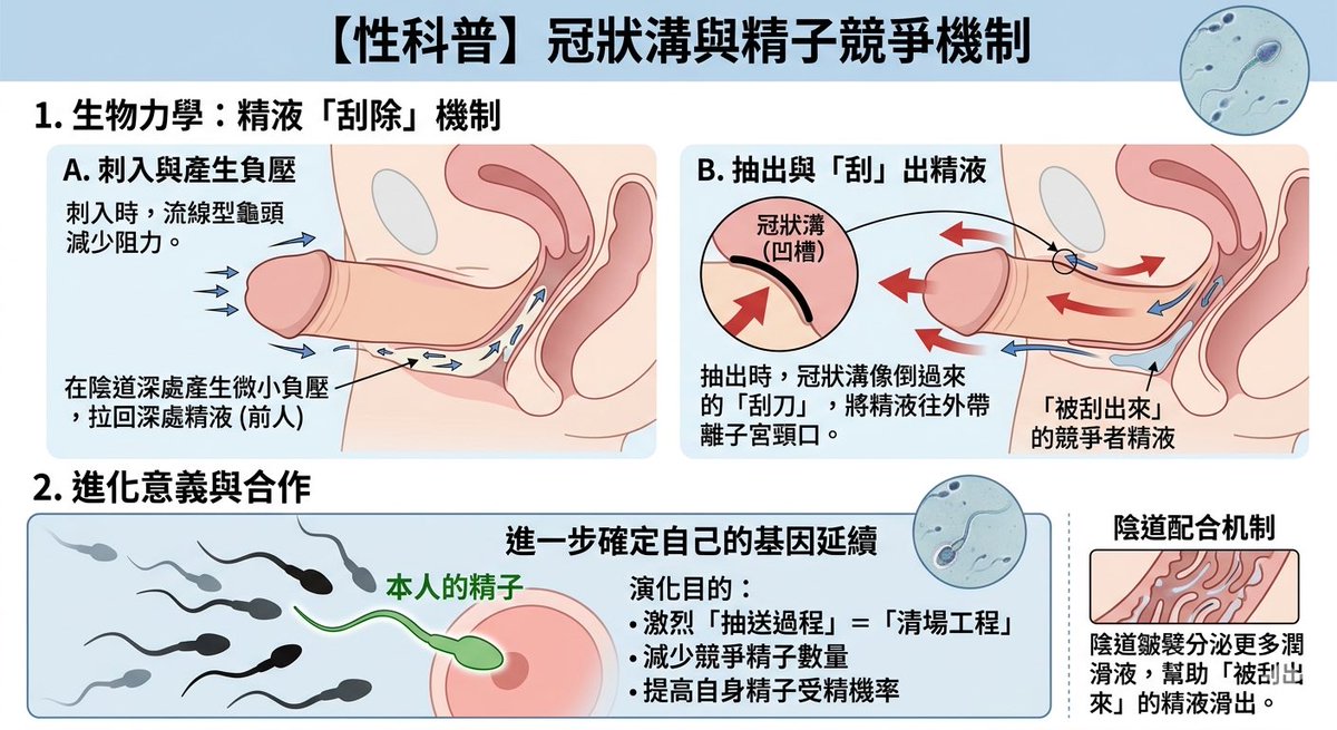 迷思拆解_Panda🐼🐼 tweet media