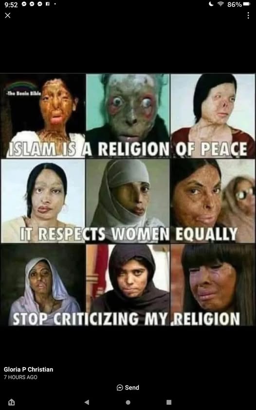 No Dhimmi tweet media