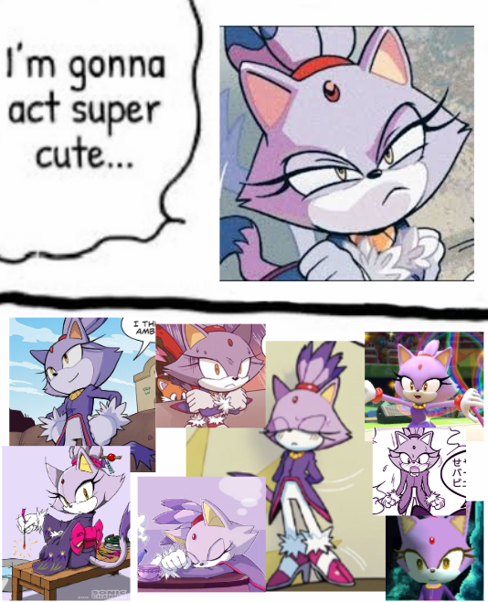 zaylin ✦ 💙💜 tweet media