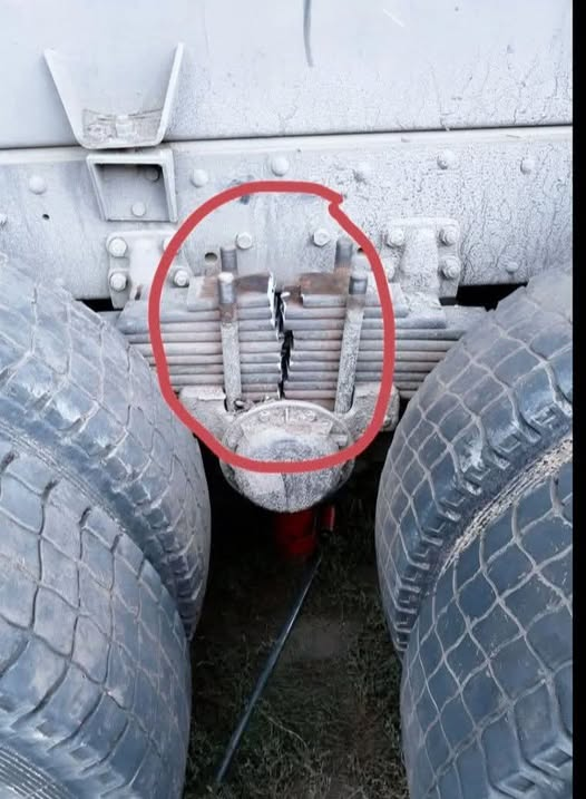 Connie 🇺🇸 tweet media