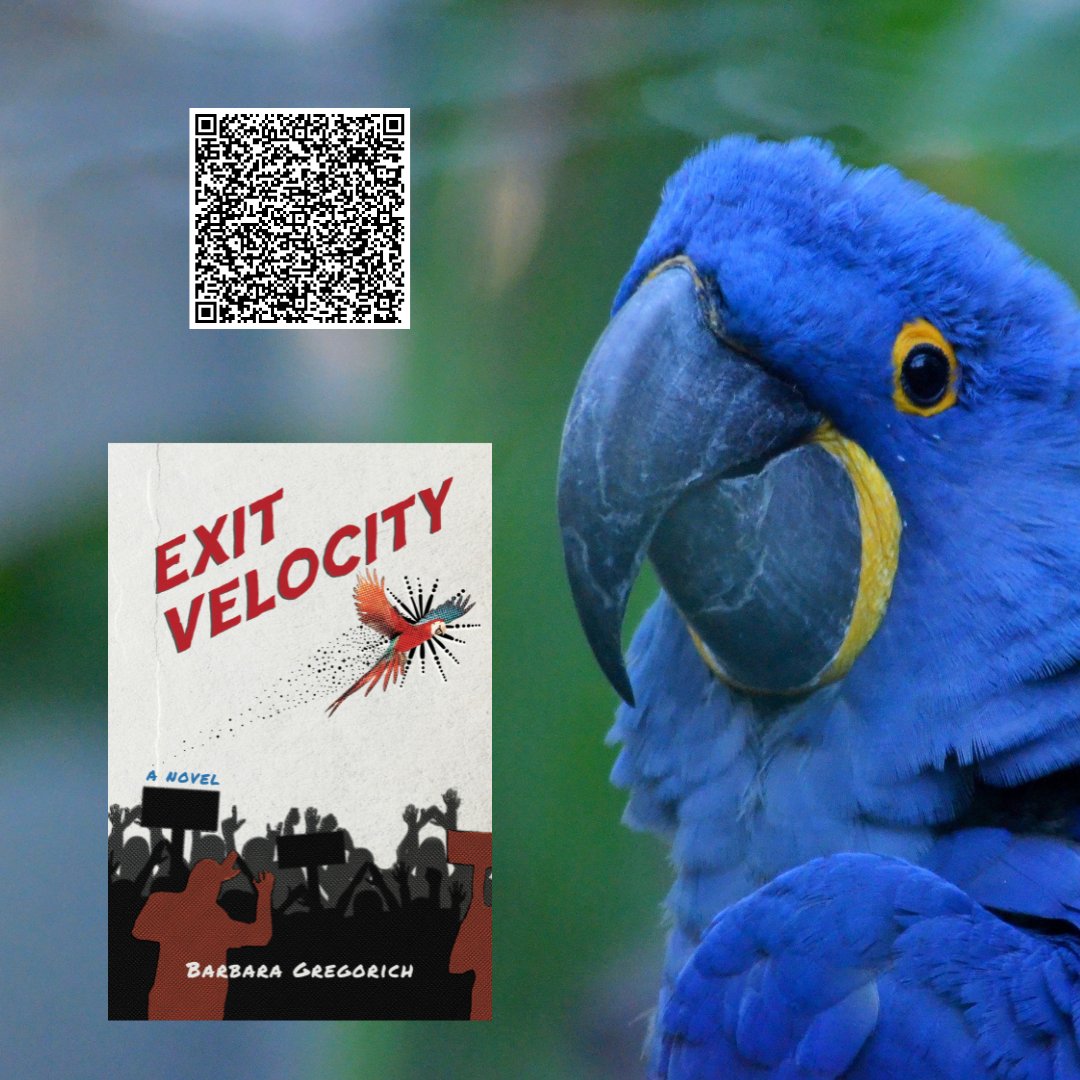 Barbara Gregorich tweet media