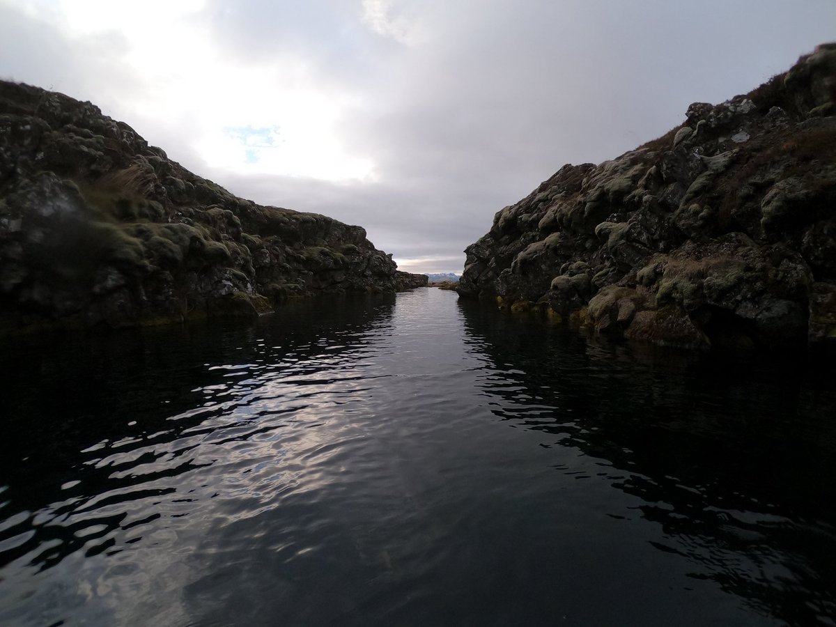 きのこ tweet media