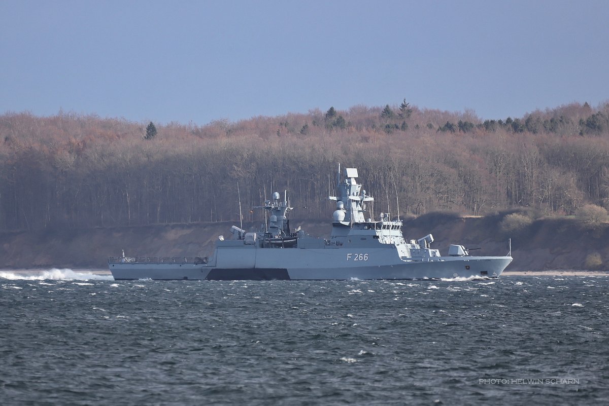 Helwin Scharn 🐾🐱🇮🇱🇺🇦 tweet media