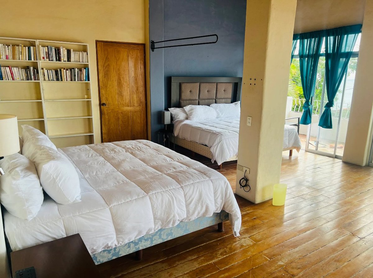 Forza High Sports & nude Wellness tweet media