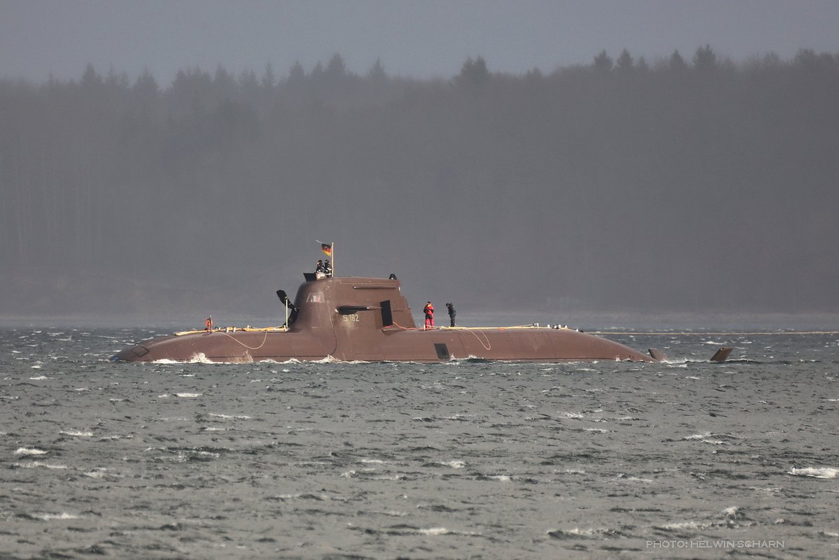 Helwin Scharn 🐾🐱🇮🇱🇺🇦 tweet media