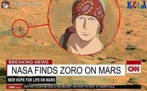 One Piece tweet media