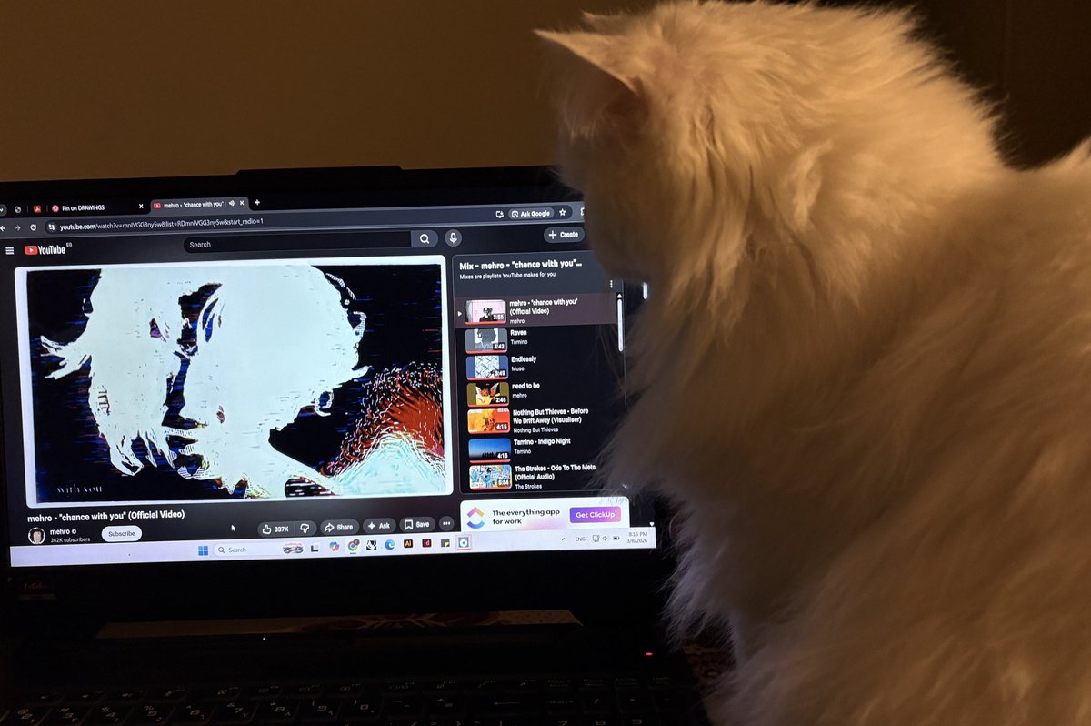 raven 🪷 tweet media