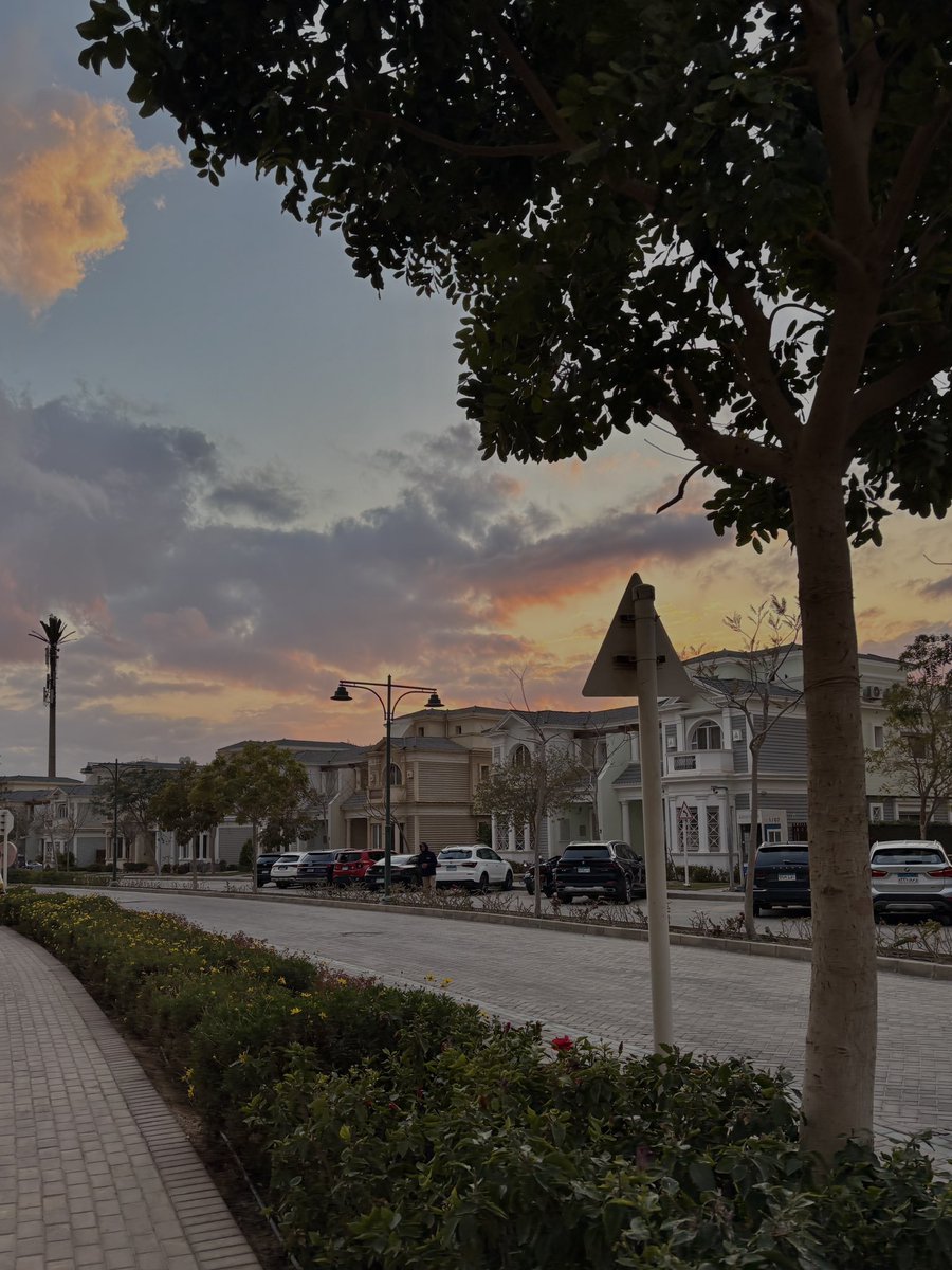 raven 🪷 tweet media