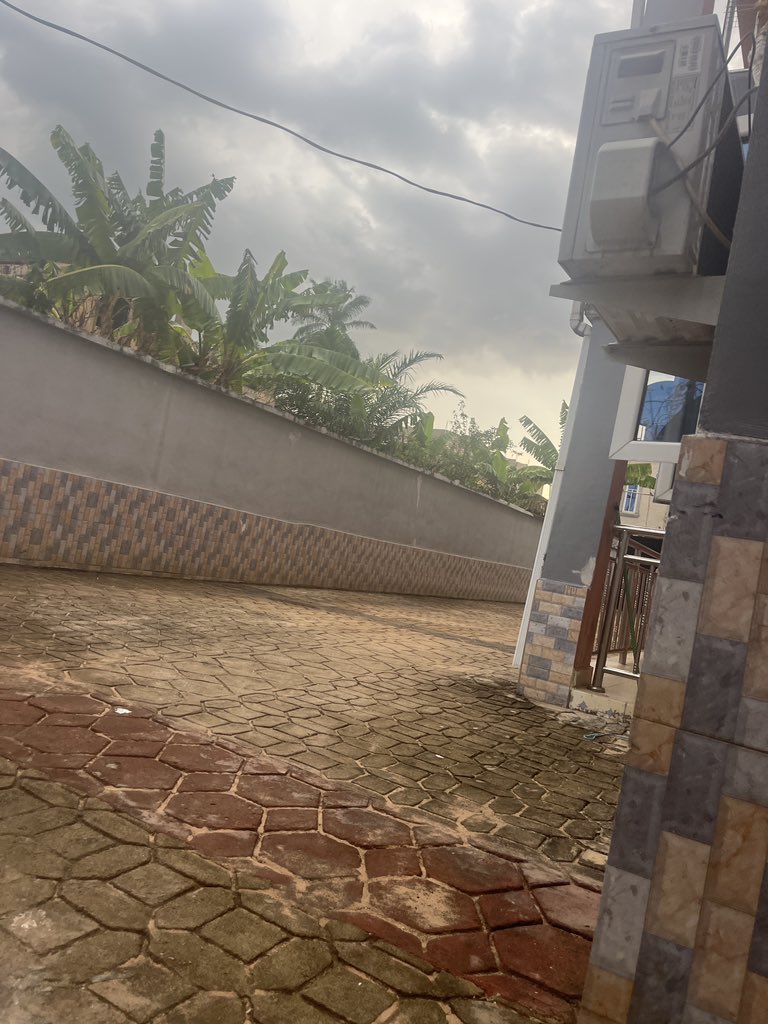 AMBASSADOR tweet media