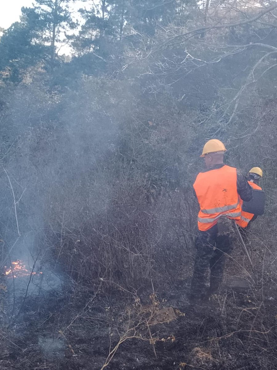 Fuerzas Armadas de Honduras tweet media