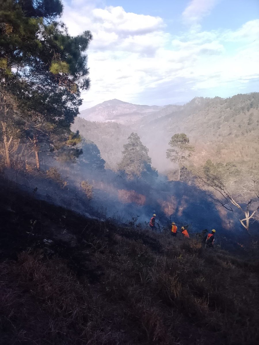 Fuerzas Armadas de Honduras tweet media