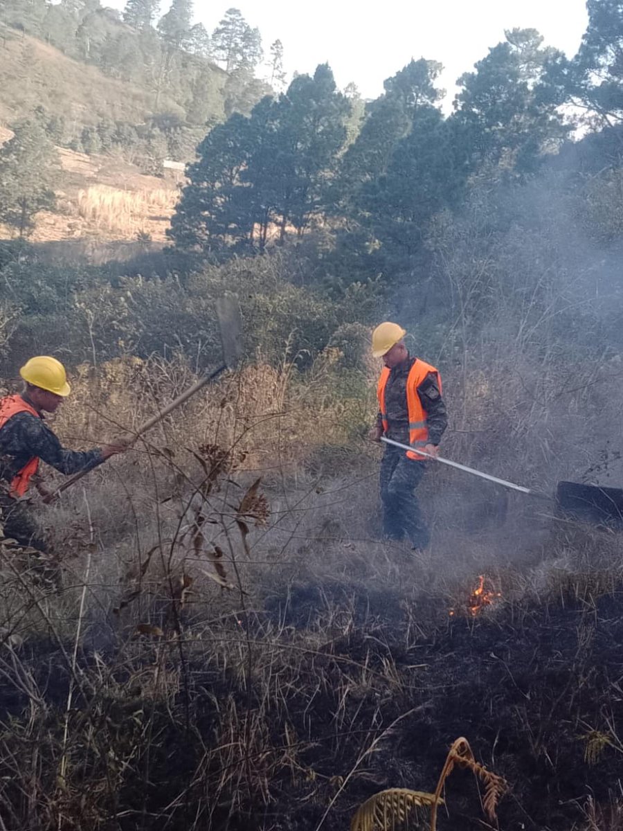 Fuerzas Armadas de Honduras tweet media