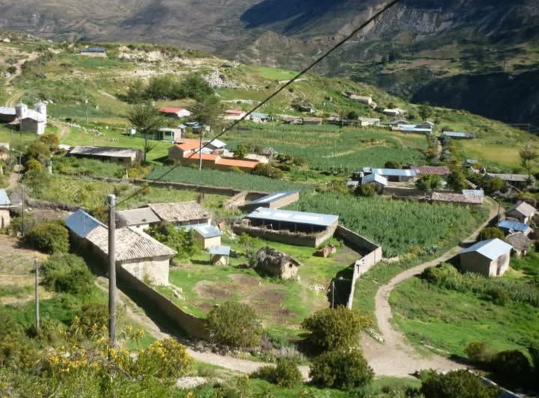 Percy Yorke 🔆 El Basado tweet media