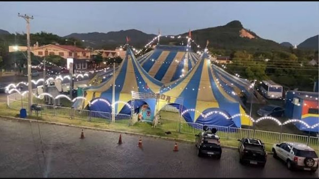 G S P 🐸 tweet media