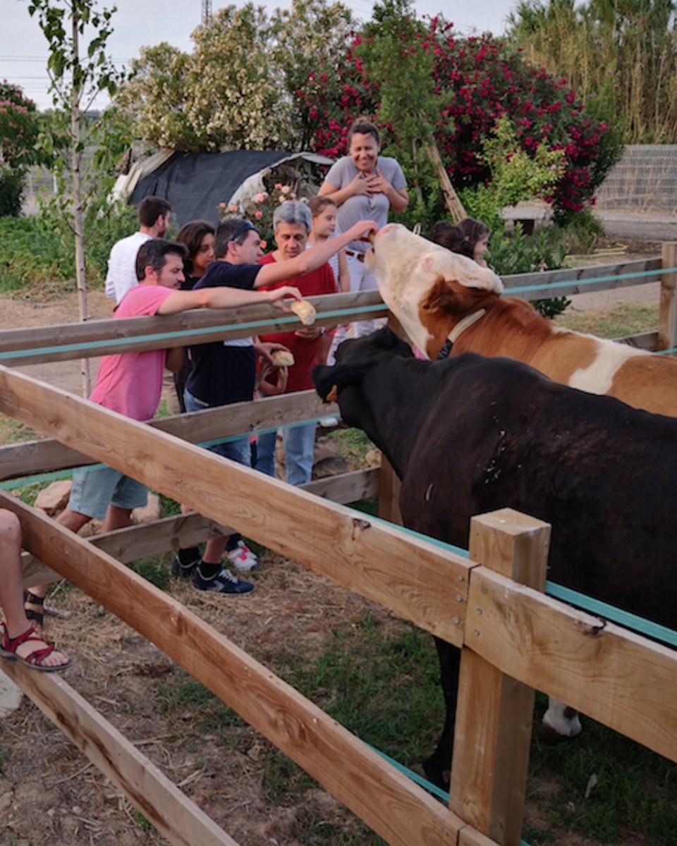 Benvinguts a Pagès tweet media