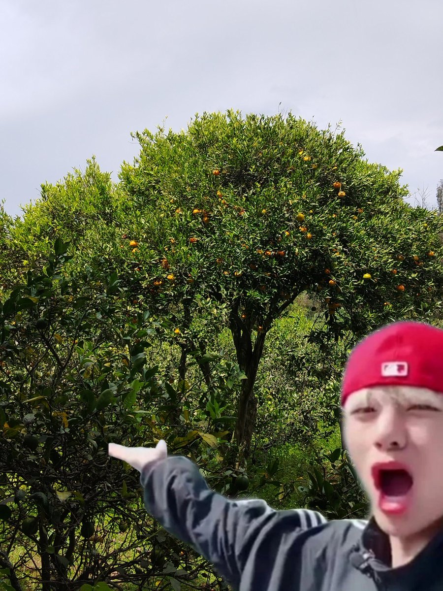 emi ᵃʳⁱʳᵃⁿᵍ tweet media