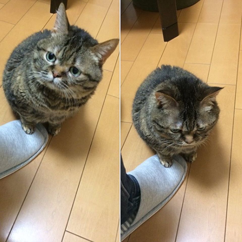 twaniimals's tweet photo. https://t.co/G5F2YQCJaM